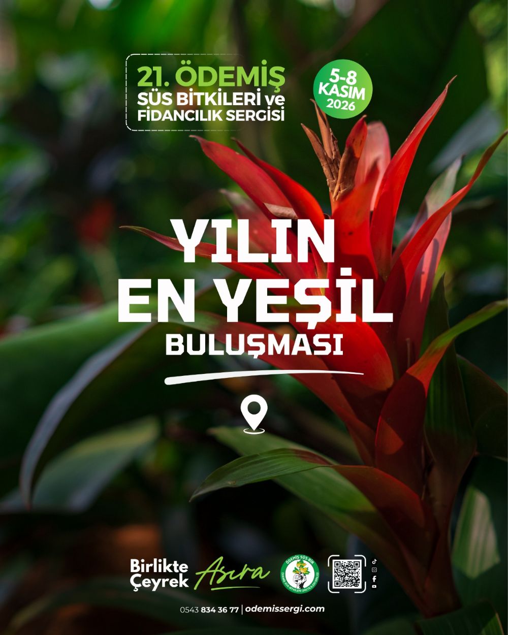 YILIN EN YE��L BULU�MASI
